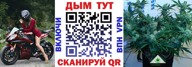Конопля VHQ Владивосток